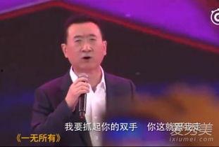 王健林爆料完整视频,揭秘商业帝国背后的真实故事 第2张 王健林爆料完整视频,揭秘商业帝国背后的真实故事 第2张