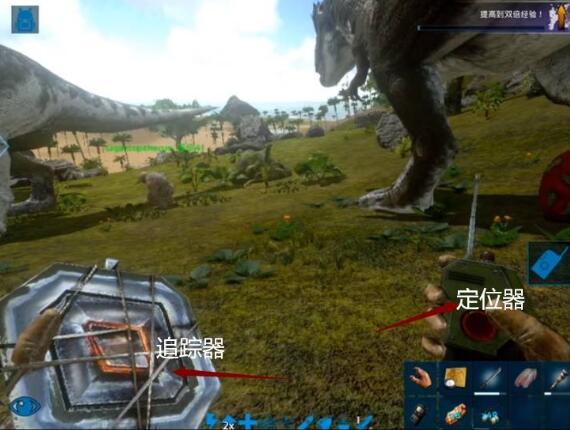 方舟生物爆料怎么做视频,视频制作攻略全解析  第1张