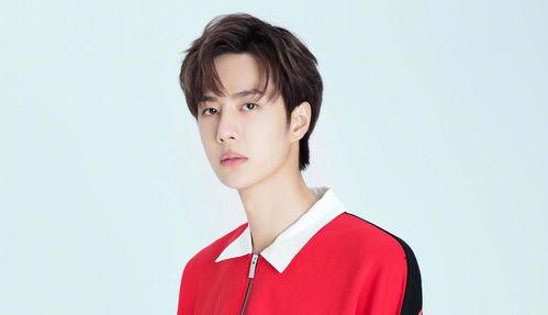 娱乐大爆料配音演员表名单,揭秘配音演员阵容，声临其境的幕后英雄