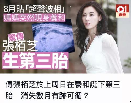 张柏芝爆料新闻事件视频,揭秘事件背后真相