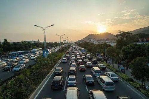 珠海每日爆料最新消息今天,突发事件引发全城关注！  第2张